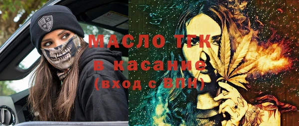 2c-b Ельня