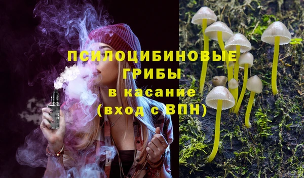 2c-b Ельня