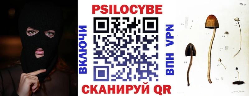 Купить закладки  Любим  Псилоцибиновые грибы мухоморы 
